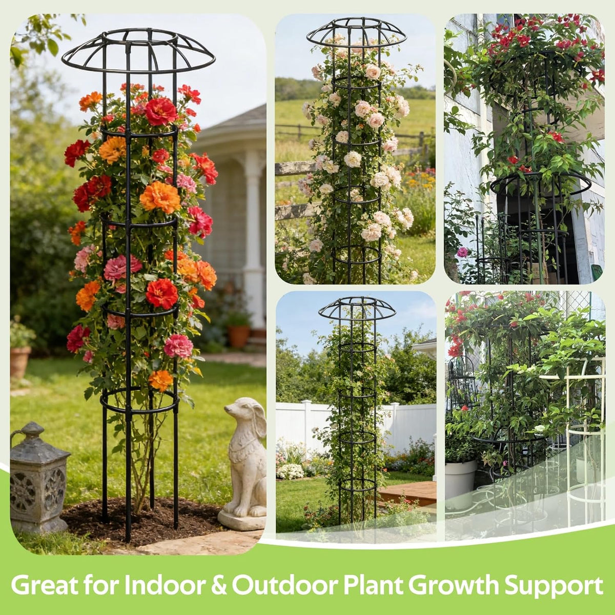 Garden Trellis for Climbing Plants Outdoor - Unique Umbrella Top Round Trellis for Indoor Potted Plant - 64" Tall Rustproof PE Coated Metal Pipe Obelisk Support Ivy Vine Rose Grape Vegetable