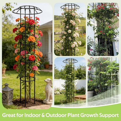 Garden Trellis for Climbing Plants Outdoor - Unique Umbrella Top Round Trellis for Indoor Potted Plant - 64" Tall Rustproof PE Coated Metal Pipe Obelisk Support Ivy Vine Rose Grape Vegetable