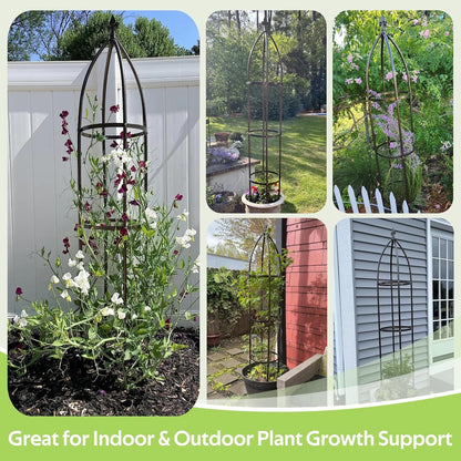 Garden Trellis for Climbing Plants Outdoor - Unique Umbrella Top Round Trellis for Indoor Potted Plant - 64" Tall Rustproof PE Coated Metal Pipe Obelisk Support Ivy Vine Rose Grape Vegetable