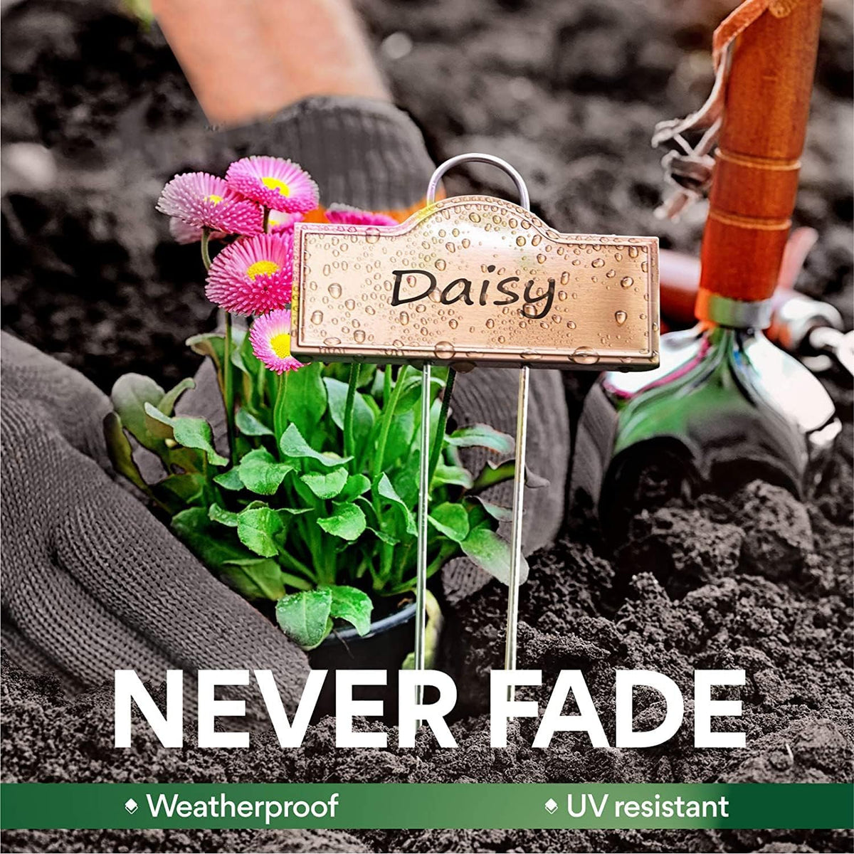 Metal Plant Labels Stainless Steel 304, Weatherproof Garden Label Tall Markers 25 Pack for Outdoor Plants Vegetables Herb Seedlings Flowers with a Pen, Label Area 3.74'' x 1.39'' Height 10.75 Inch
