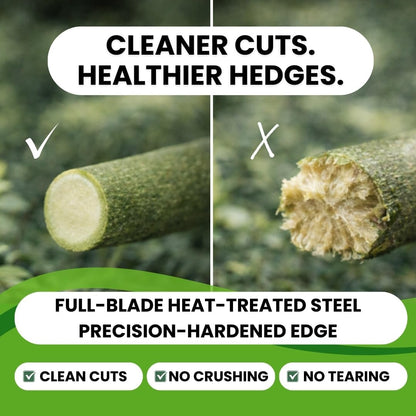Fujiwara Japanese Hedge Shears 27.2 in (690 mm), Forged Garden Clippers with White Oak Handles, Precision Trimming Shears for Hedges, Shrubs & Landscaping