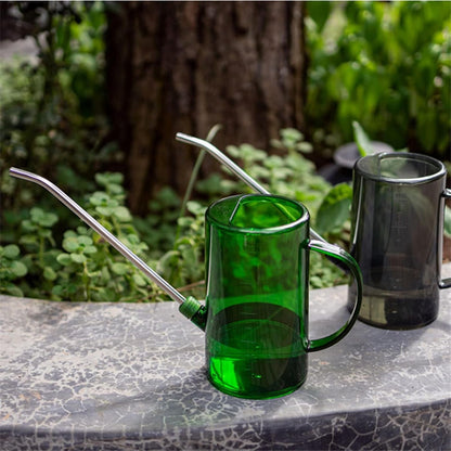 Goose Neck Watering Can, 1L/1000ml Watering Can for Indoor Plants Clear Plastic Water Can with Stainless Steel Long Spout for Home Office(Green)