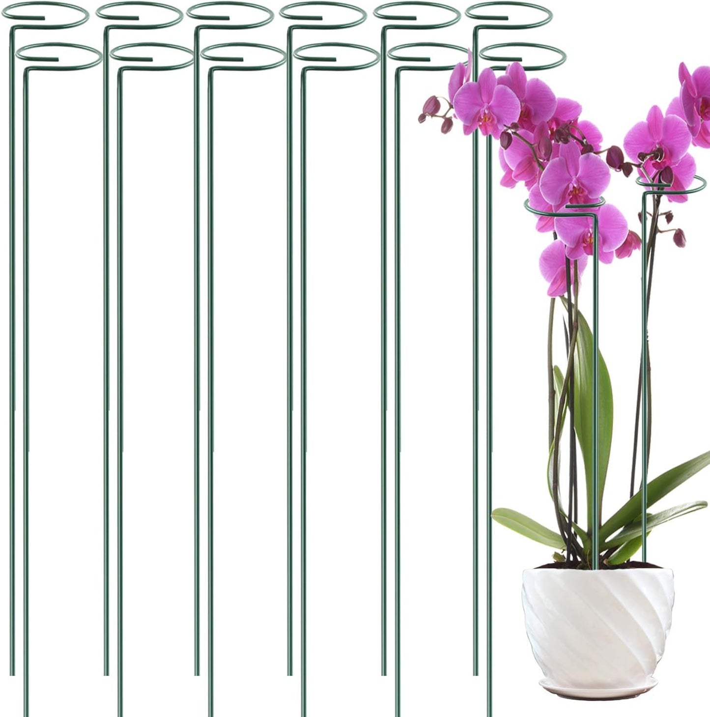 12 Pack 36 inch Plant Support Stakes,Single Stem Plant Support Stake Single Plant Stem Garden Flower Support Stake Steel Plant Cage Support Ring for Orchid Gladiolus Iris Dahlia Amaryllis Rose Lily