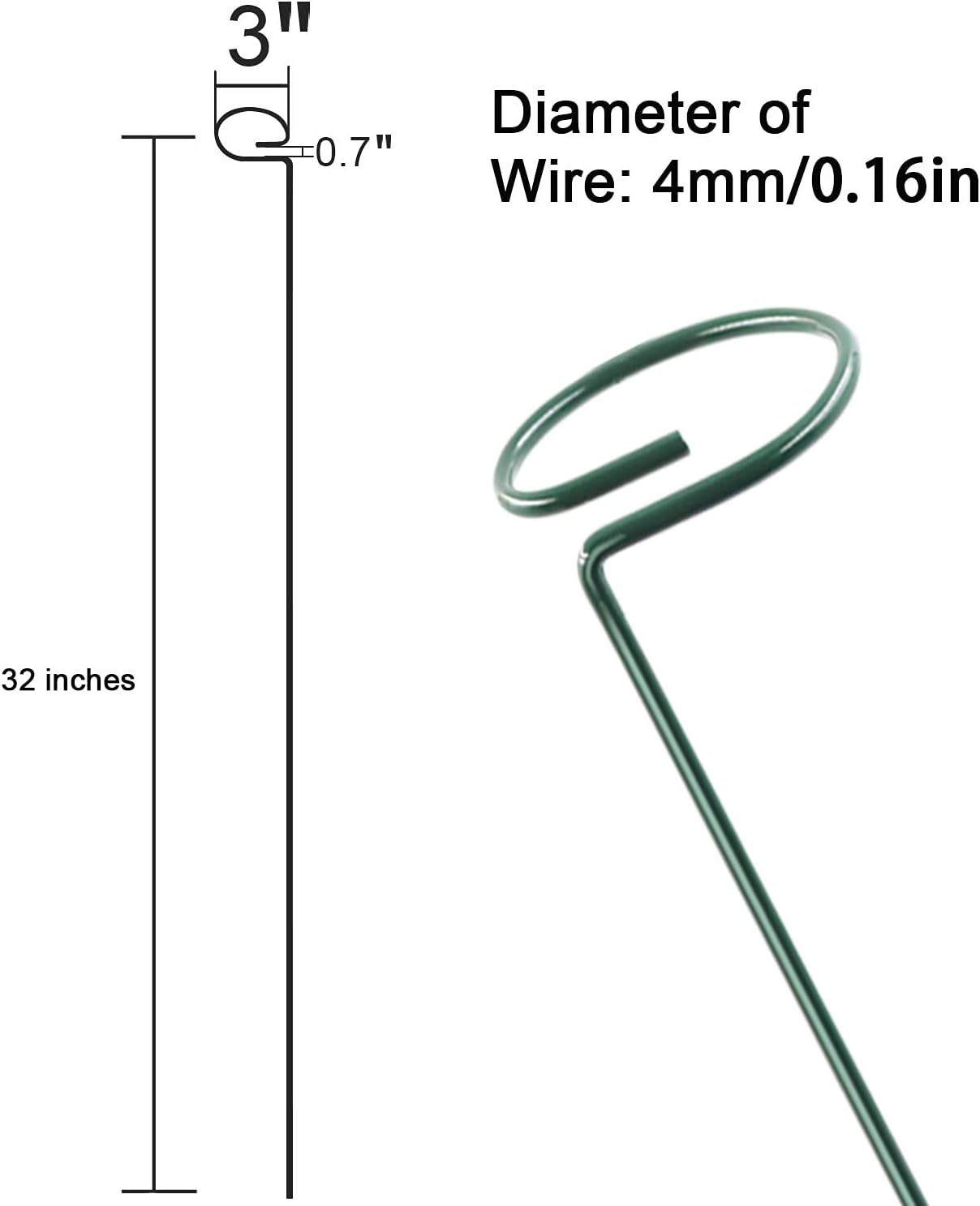 12 Pack 36 inch Plant Support Stakes,Single Stem Plant Support Stake Single Plant Stem Garden Flower Support Stake Steel Plant Cage Support Ring for Orchid Gladiolus Iris Dahlia Amaryllis Rose Lily