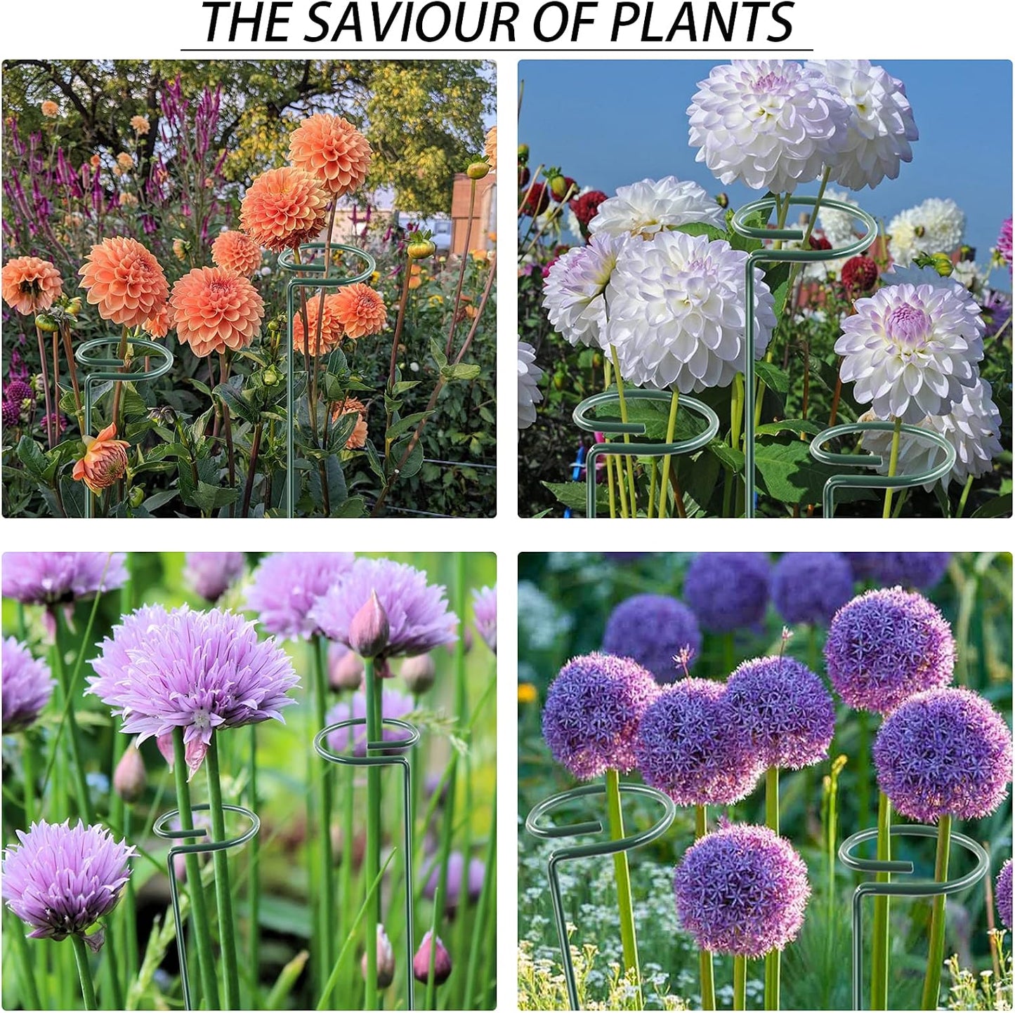 12 Pack 36 inch Plant Support Stakes,Single Stem Plant Support Stake Single Plant Stem Garden Flower Support Stake Steel Plant Cage Support Ring for Orchid Gladiolus Iris Dahlia Amaryllis Rose Lily