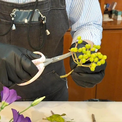 CHIKAMASA CRI-550SRF(Cherry Blossom), The Specialty Trimming Precise Scissors, Stainless Steel with Fluorine Coating, Curved Blade for Trimming, harvesting vegetables and fruit. (Cherry Blossom)