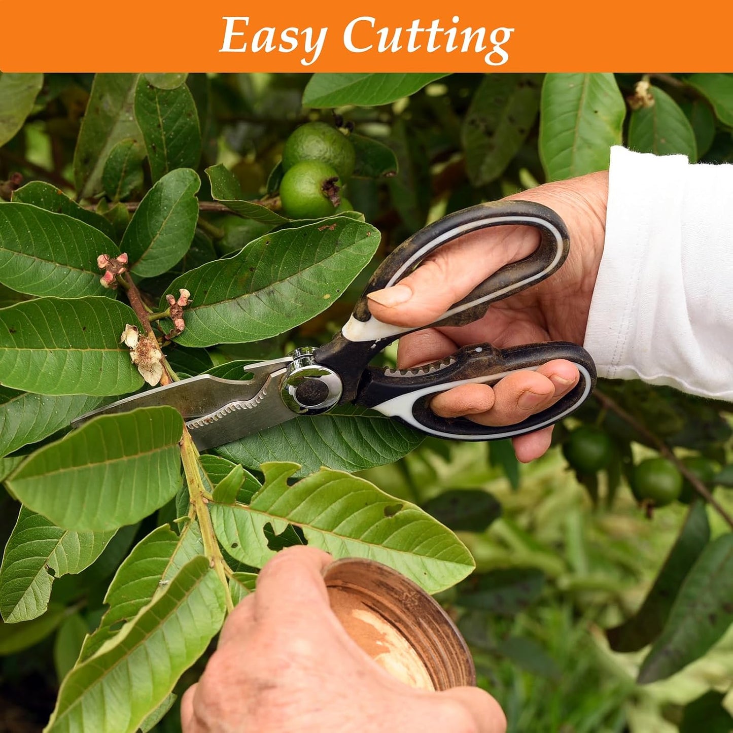 2 Pcs Multifunctional Garden Shears Flower Scissors