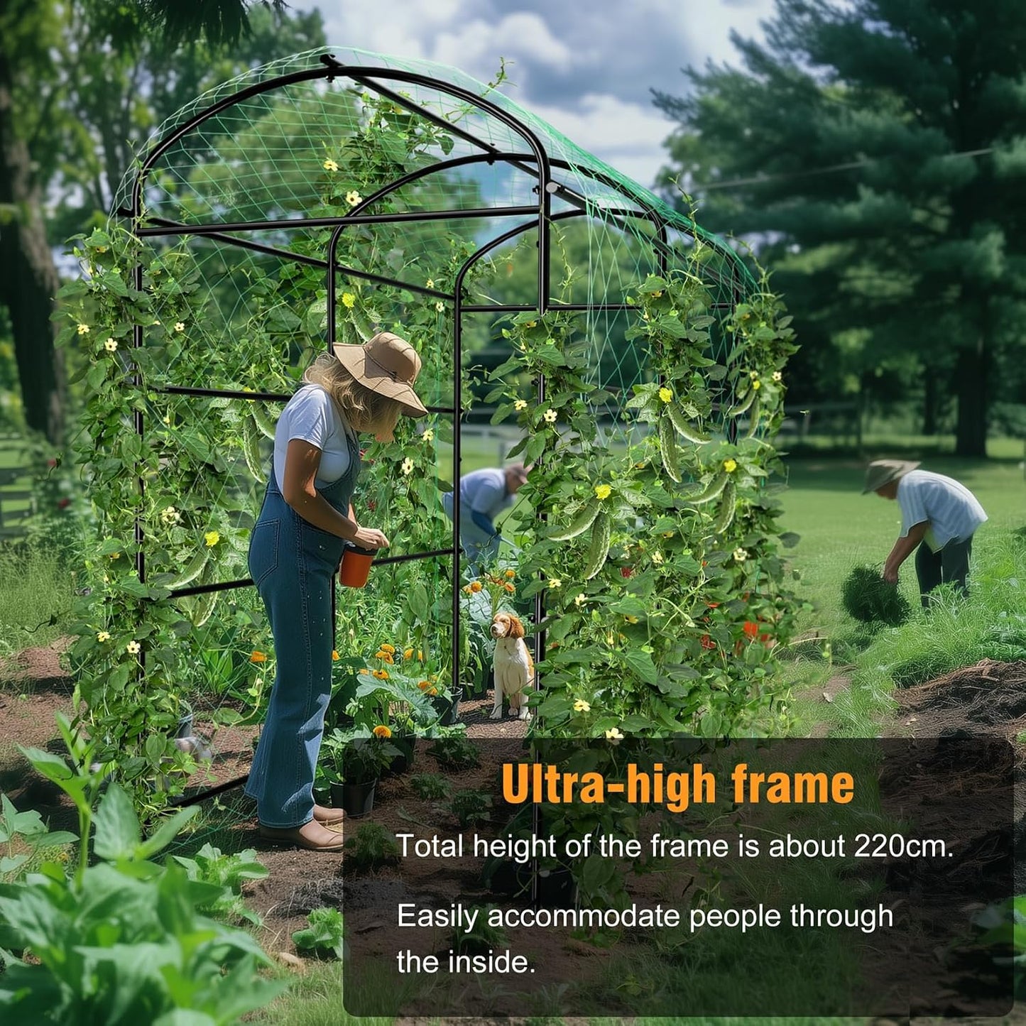 87inch Garden Trellis Arch: for Climbing Plants with Net Metal