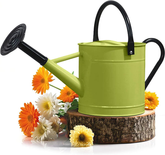 Metal Watering Can Outdoor 1 Gallon, Flower Plant Gardening Garden Large Green Watering Can Pot, Galvanized Steel Handles - Removable Spray Spout, Green