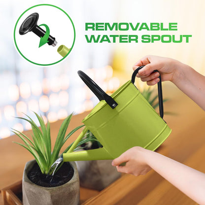 Metal Watering Can Outdoor 1 Gallon, Flower Plant Gardening Garden Large Green Watering Can Pot, Galvanized Steel Handles - Removable Spray Spout, Green