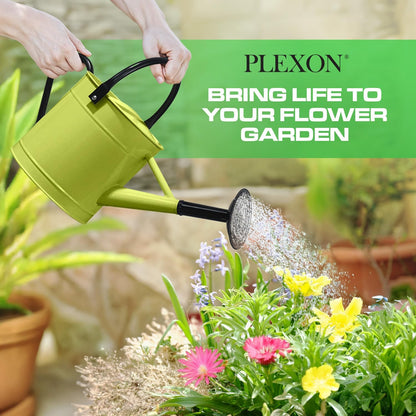 Metal Watering Can Outdoor 1 Gallon, Flower Plant Gardening Garden Large Green Watering Can Pot, Galvanized Steel Handles - Removable Spray Spout, Green