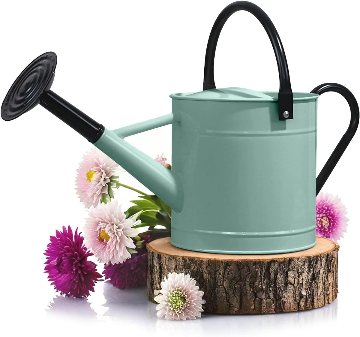 Metal Watering Can Outdoor 1 Gallon, Flower Plant Gardening Garden Large Green Watering Can Pot, Galvanized Steel Handles - Removable Spray Spout, Green