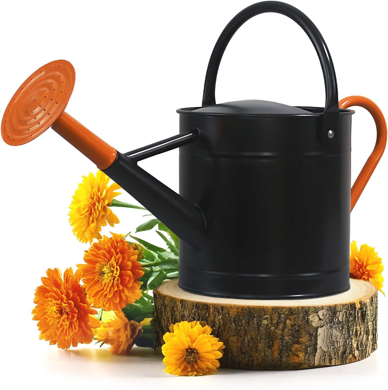 Metal Watering Can Outdoor 1 Gallon, Flower Plant Gardening Garden Large Green Watering Can Pot, Galvanized Steel Handles - Removable Spray Spout, Green