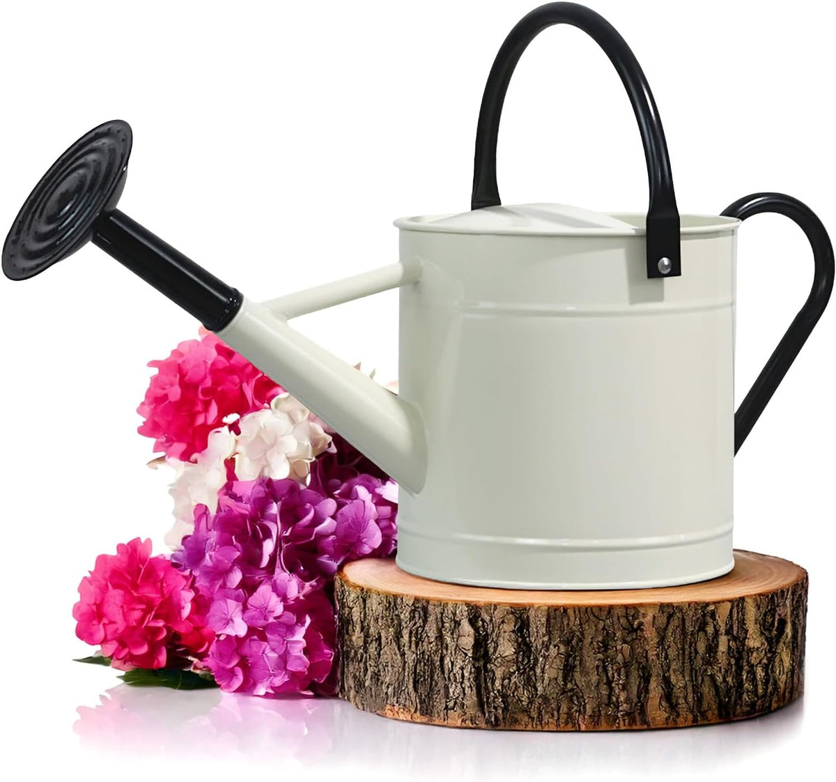 Metal Watering Can Outdoor 1 Gallon, Flower Plant Gardening Garden Large Green Watering Can Pot, Galvanized Steel Handles - Removable Spray Spout, Green