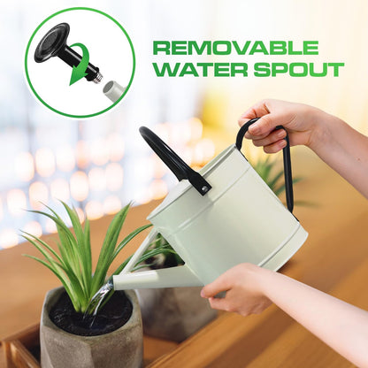 Metal Watering Can Outdoor 1 Gallon, Flower Plant Gardening Garden Large Green Watering Can Pot, Galvanized Steel Handles - Removable Spray Spout, Green
