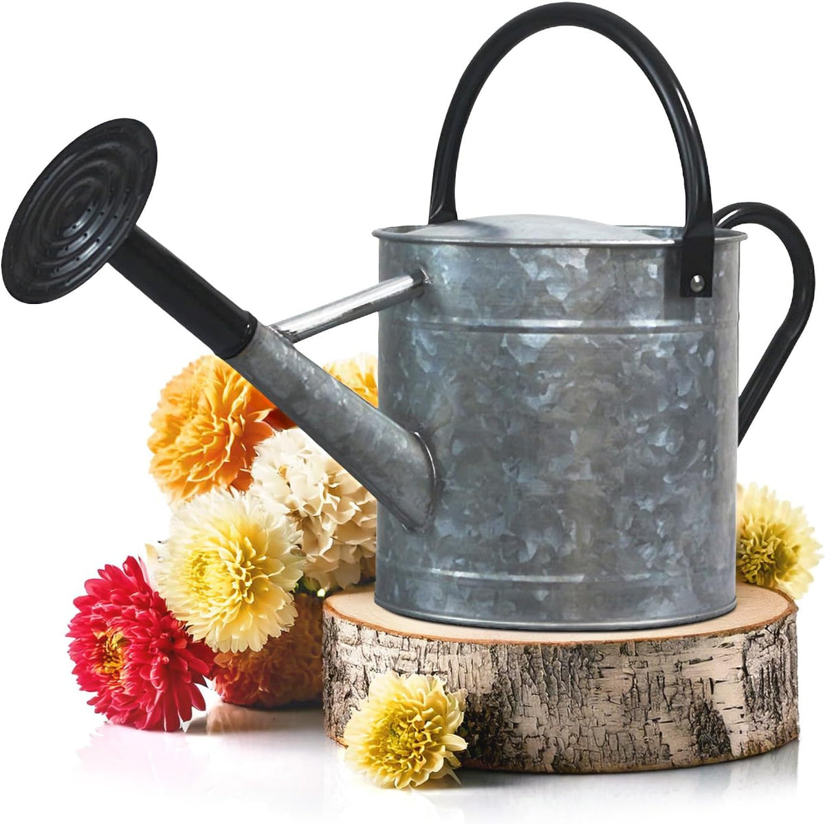 Metal Watering Can Outdoor 1 Gallon, Flower Plant Gardening Garden Large Green Watering Can Pot, Galvanized Steel Handles - Removable Spray Spout, Green