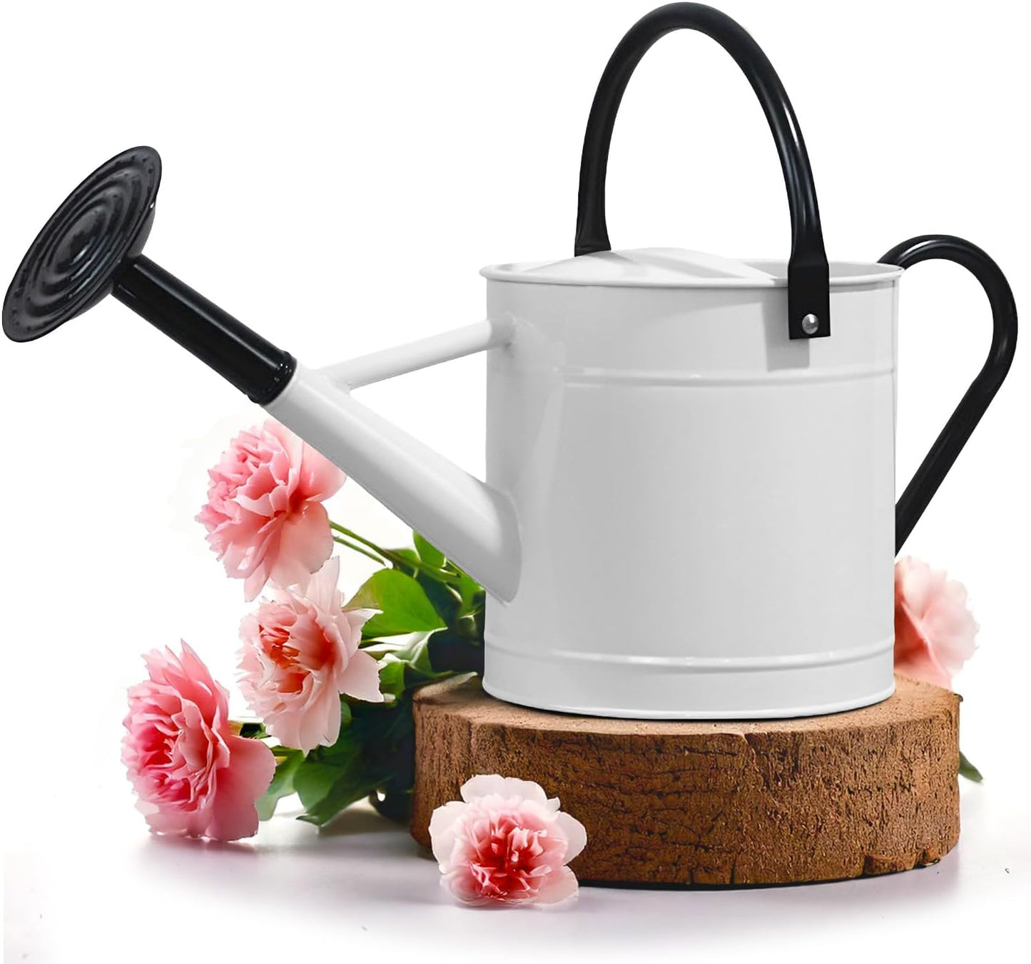 Metal Watering Can Outdoor 1 Gallon, Flower Plant Gardening Garden Large Green Watering Can Pot, Galvanized Steel Handles - Removable Spray Spout, Green