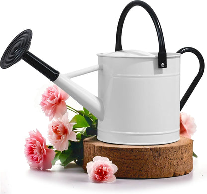Metal Watering Can Outdoor 1 Gallon, Flower Plant Gardening Garden Large Green Watering Can Pot, Galvanized Steel Handles - Removable Spray Spout, Green