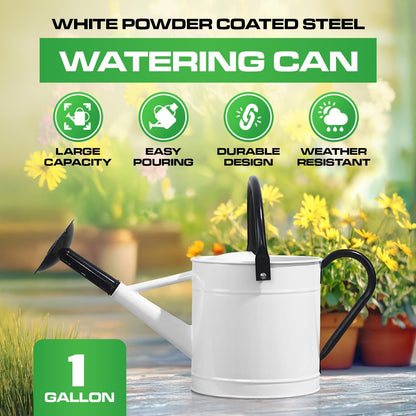 Metal Watering Can Outdoor 1 Gallon, Flower Plant Gardening Garden Large Green Watering Can Pot, Galvanized Steel Handles - Removable Spray Spout, Green