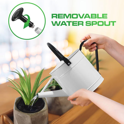 Metal Watering Can Outdoor 1 Gallon, Flower Plant Gardening Garden Large Green Watering Can Pot, Galvanized Steel Handles - Removable Spray Spout, Green