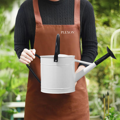 Metal Watering Can Outdoor 1 Gallon, Flower Plant Gardening Garden Large Green Watering Can Pot, Galvanized Steel Handles - Removable Spray Spout, Green