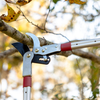 37" Ratcheting Bypass Lopper with Telescoping Handles