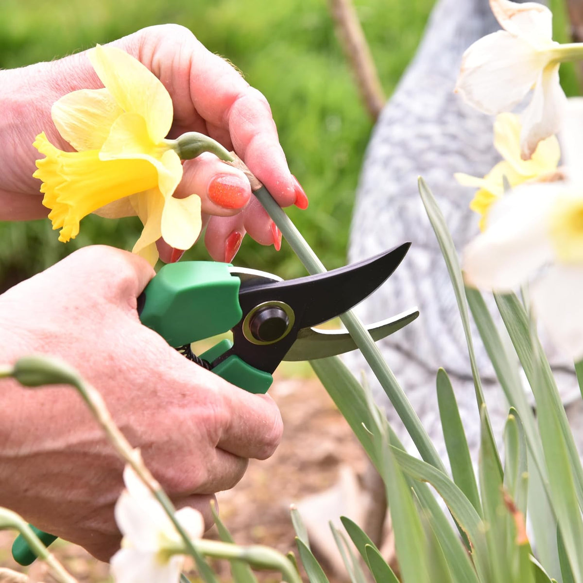 8 Inch Garden Pruner with a SK5 Carbon Steel, Non-stick, Rust Resistant Blade. Adjustable for Small and Large Hands