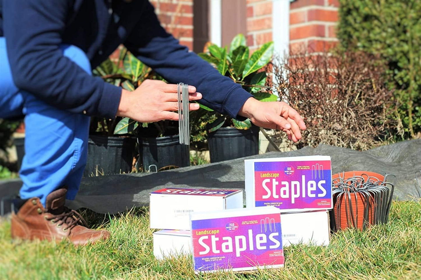 Ashman 150 Pack Galvanized Garden Stakes Landscape Staples and Fence Stake Sod Staples - Heavy Duty & Anti Rust Zinc Coated.