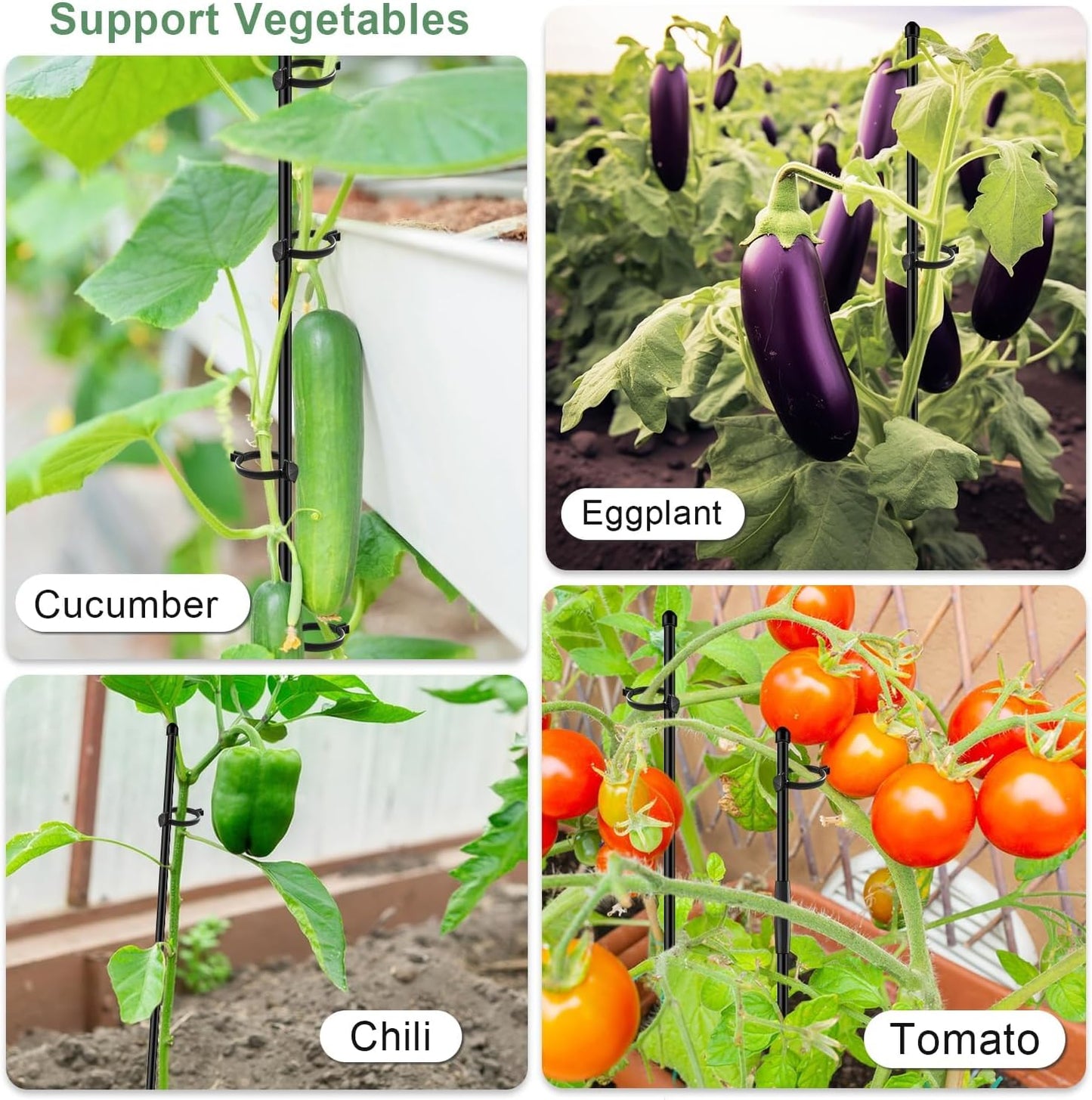 Plant Stakes 17 inch Support Stick Orchid Stakes with Clips 10Pcs Garden Plant Poles Extended to 3/4/5ft for Indoor Outdoor Potted Tomato Rose Amaryllis Vegetables Monstera -Green