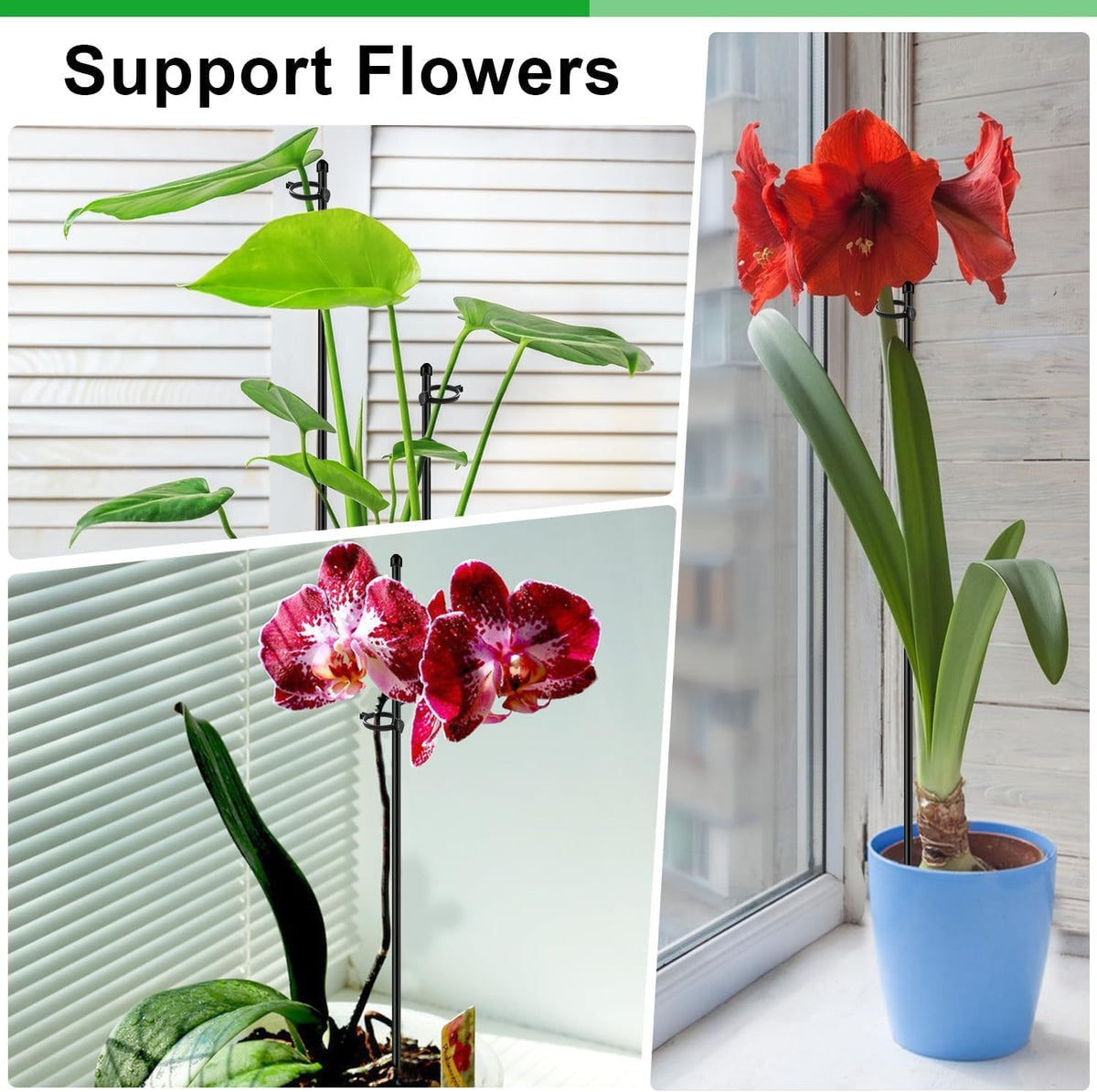 Plant Stakes 17 inch Support Stick Orchid Stakes with Clips 10Pcs Garden Plant Poles Extended to 3/4/5ft for Indoor Outdoor Potted Tomato Rose Amaryllis Vegetables Monstera -Green