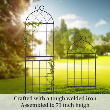1 Pack Garden Trellis 71" H x 19.7" W for Climbing Plants Support Rustproof Metal Iron Rose Trellis for Vines Flower Cucumbers Plant Stand Black
