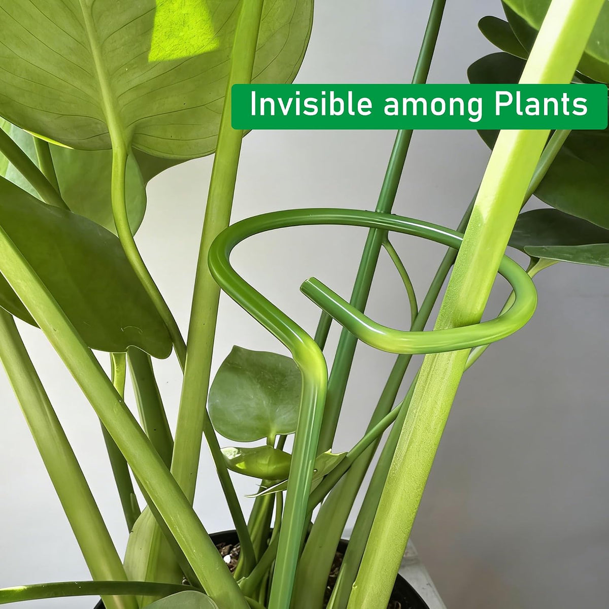6-Pack Plant Stakes for Indoor Plants, 16 Inch Heavy Duty Adjustable Support Stakes & Tall Sticks for Monstera, Amaryllis, Orchid, Snake Plant, Single Stem, Indoor Outdoor