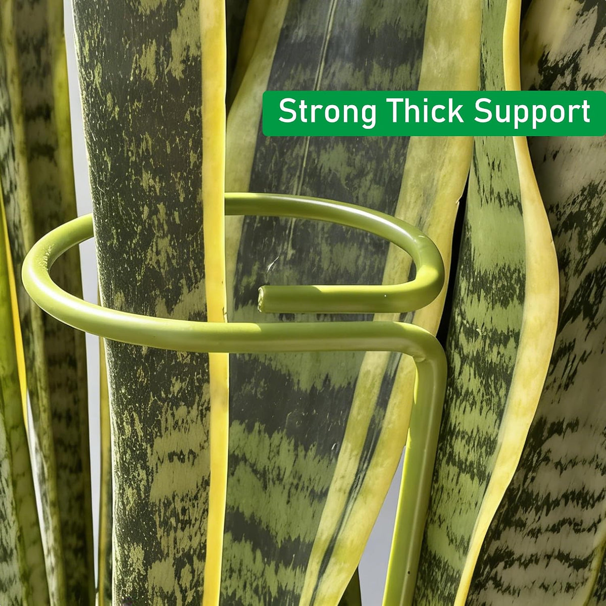 6-Pack Plant Stakes for Indoor Plants, 16 Inch Heavy Duty Adjustable Support Stakes & Tall Sticks for Monstera, Amaryllis, Orchid, Snake Plant, Single Stem, Indoor Outdoor