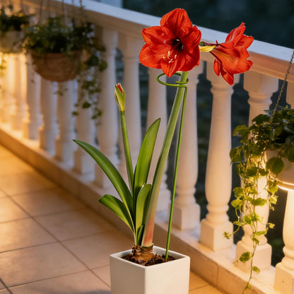 6-Pack Plant Stakes for Indoor Plants, 16 Inch Heavy Duty Adjustable Support Stakes & Tall Sticks for Monstera, Amaryllis, Orchid, Snake Plant, Single Stem, Indoor Outdoor
