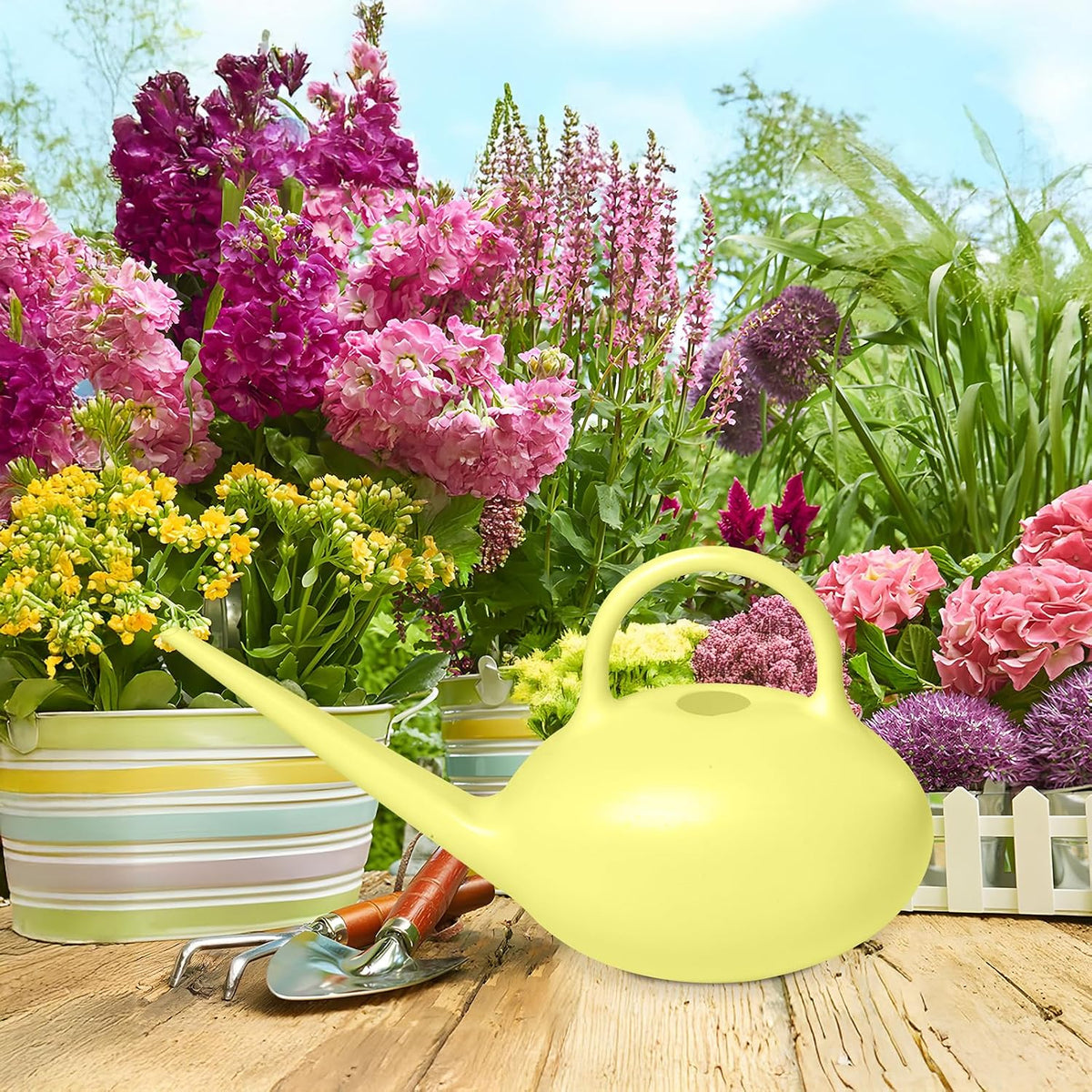 Small Plastic Watering Can - 1/4 Gallon - for Home Plant Garden - Blue