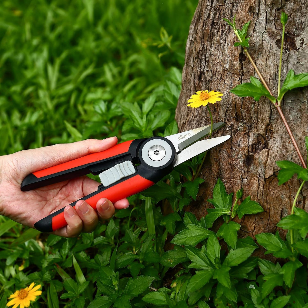 Garden Pruning Shears Floral Scissors with Straight Blade