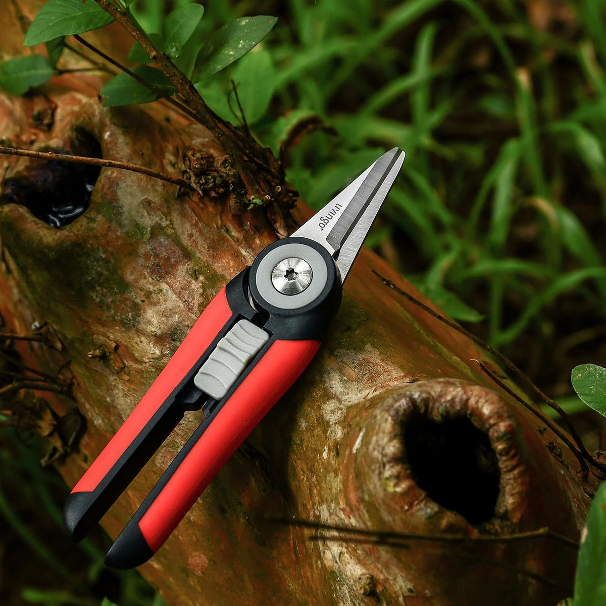 Garden Pruning Shears Floral Scissors with Straight Blade