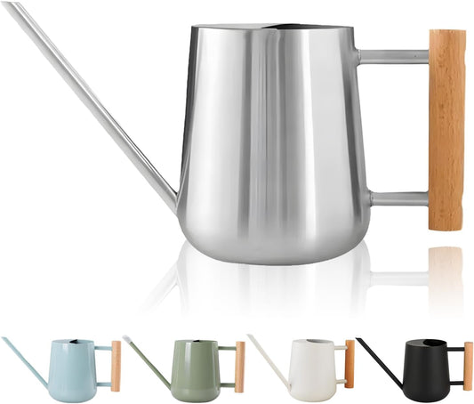 Watering Can Indoor Plants, 30oz/900ml Small Plant Watering Can with Long Spout, Stainless Steel Garden Watering Cans Outdoor Watering Pot for Indoor House Plants Bonsai Flower Decorative
