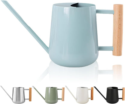 Watering Can Indoor Plants, 30oz/900ml Small Plant Watering Can with Long Spout, Stainless Steel Garden Watering Cans Outdoor Watering Pot for Indoor House Plants Bonsai Flower Decorative