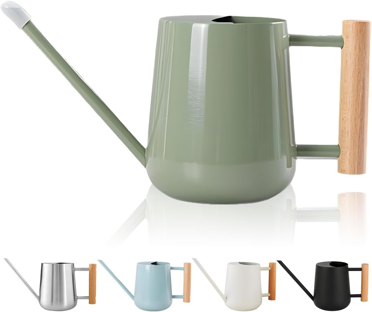 Watering Can Indoor Plants, 30oz/900ml Small Plant Watering Can with Long Spout, Stainless Steel Garden Watering Cans Outdoor Watering Pot for Indoor House Plants Bonsai Flower Decorative