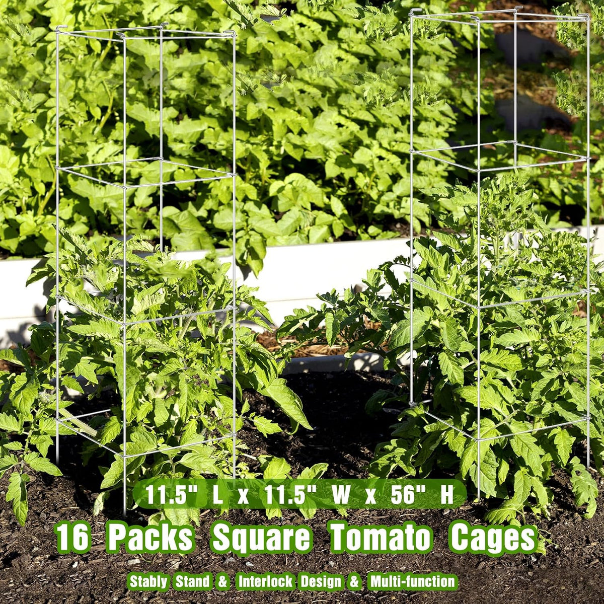 16 Pack Square Tomato Cage Heavy Duty Tomato Cages for Garden Vegetable Plant Trellis Stakes Plant Support Stake Tower for Climbing Vegetables Plants Flowers Fruit (11.5 x 46 Inches,Silver)
