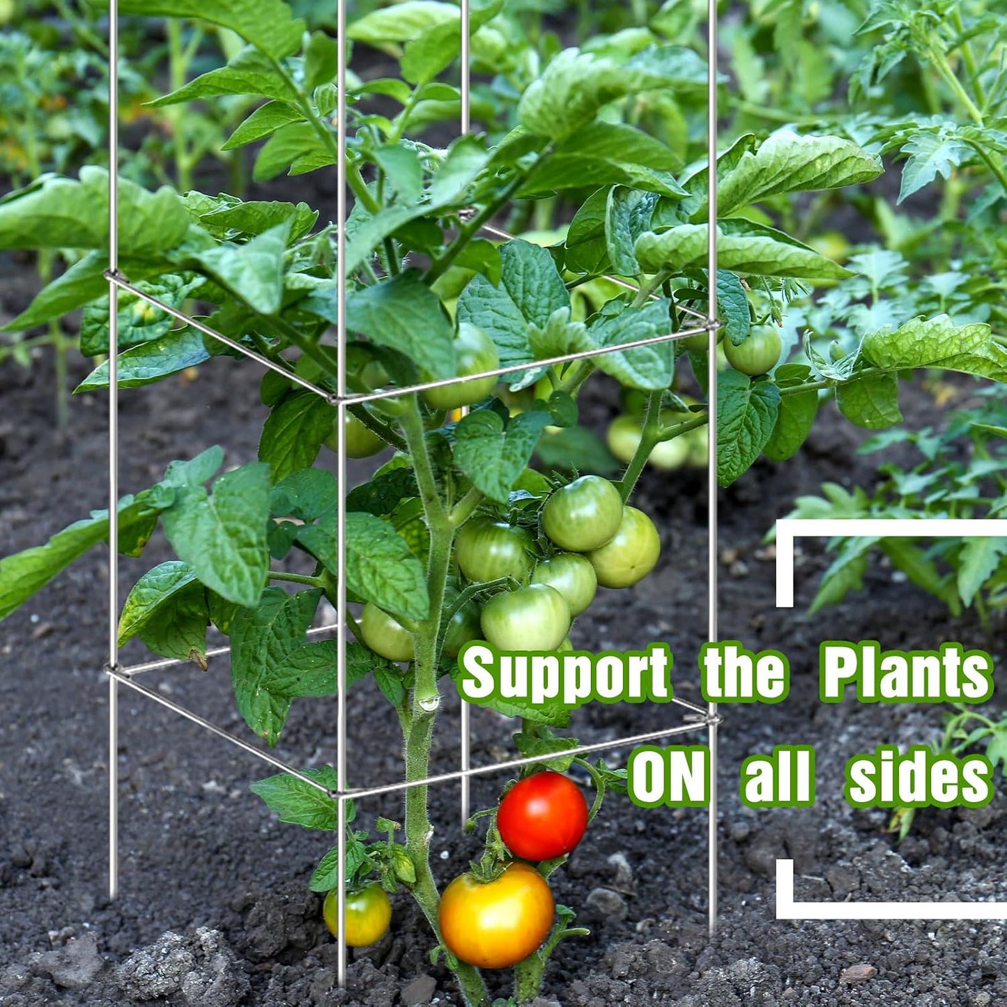16 Pack Square Tomato Cage Heavy Duty Tomato Cages for Garden Vegetable Plant Trellis Stakes Plant Support Stake Tower for Climbing Vegetables Plants Flowers Fruit (11.5 x 46 Inches,Silver)