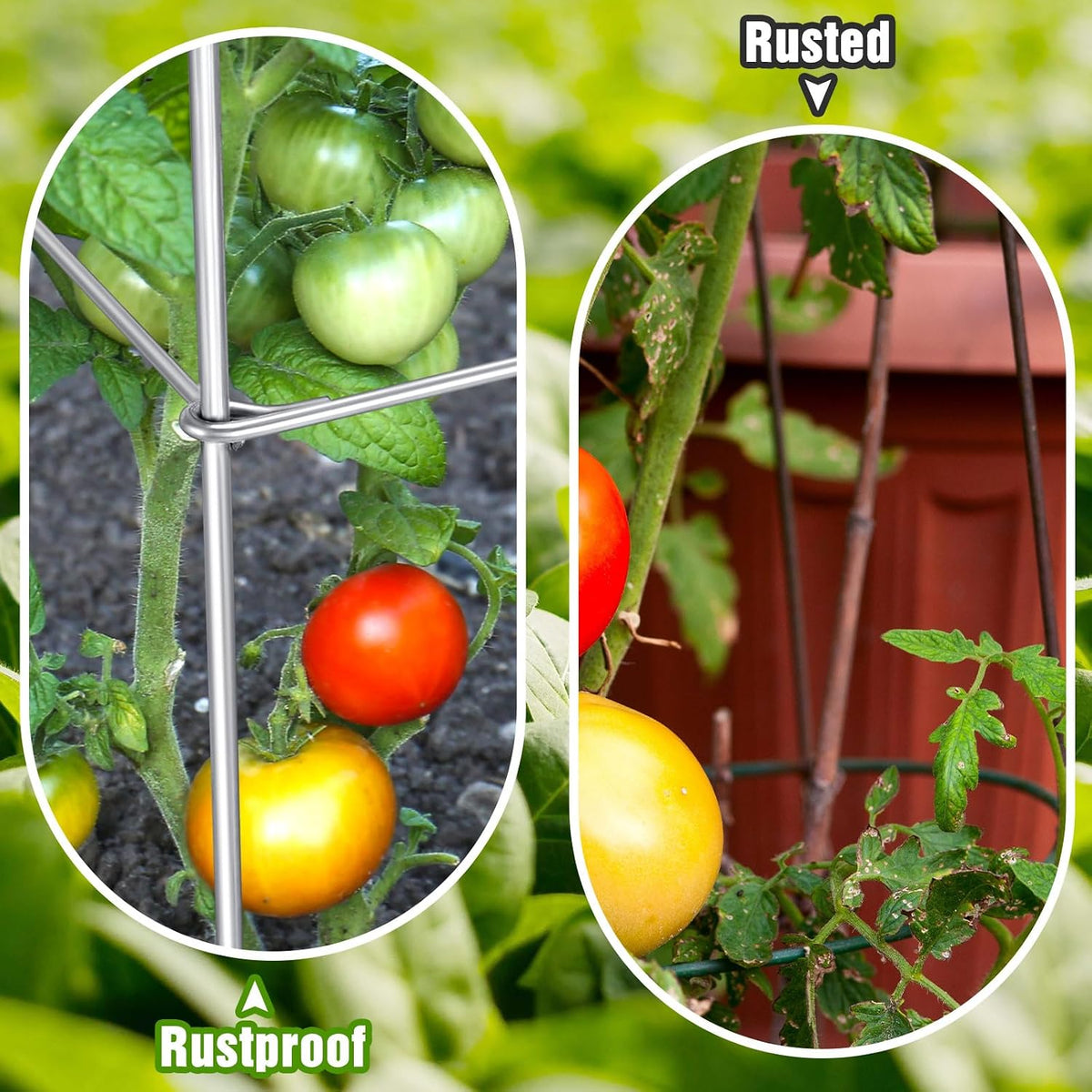 16 Pack Square Tomato Cage Heavy Duty Tomato Cages for Garden Vegetable Plant Trellis Stakes Plant Support Stake Tower for Climbing Vegetables Plants Flowers Fruit (11.5 x 46 Inches,Silver)