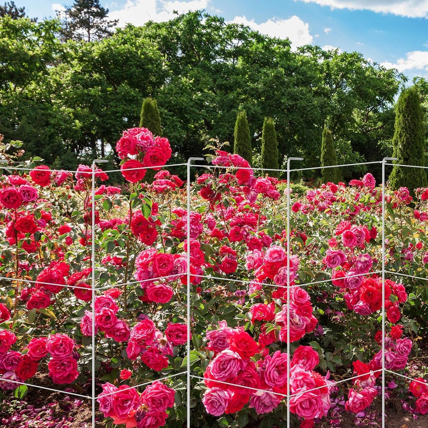 16 Pack Square Tomato Cage Heavy Duty Tomato Cages for Garden Vegetable Plant Trellis Stakes Plant Support Stake Tower for Climbing Vegetables Plants Flowers Fruit (11.5 x 46 Inches,Silver)