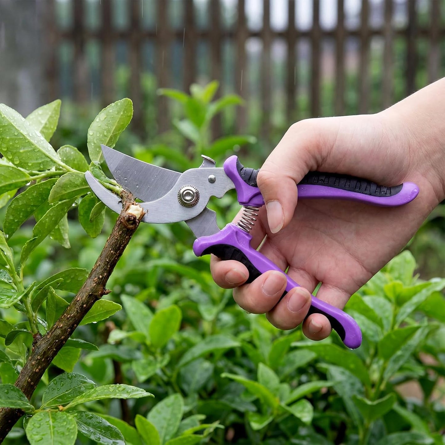 9 Pcs Garden Shears Pruning Garden Clippers Bulk Bypass Pruner Heavy Duty for Gardening Hedge Plant Cutting Flower Scissors for Tree Trimming Bonsai Cutting Fruits Picking(Green)