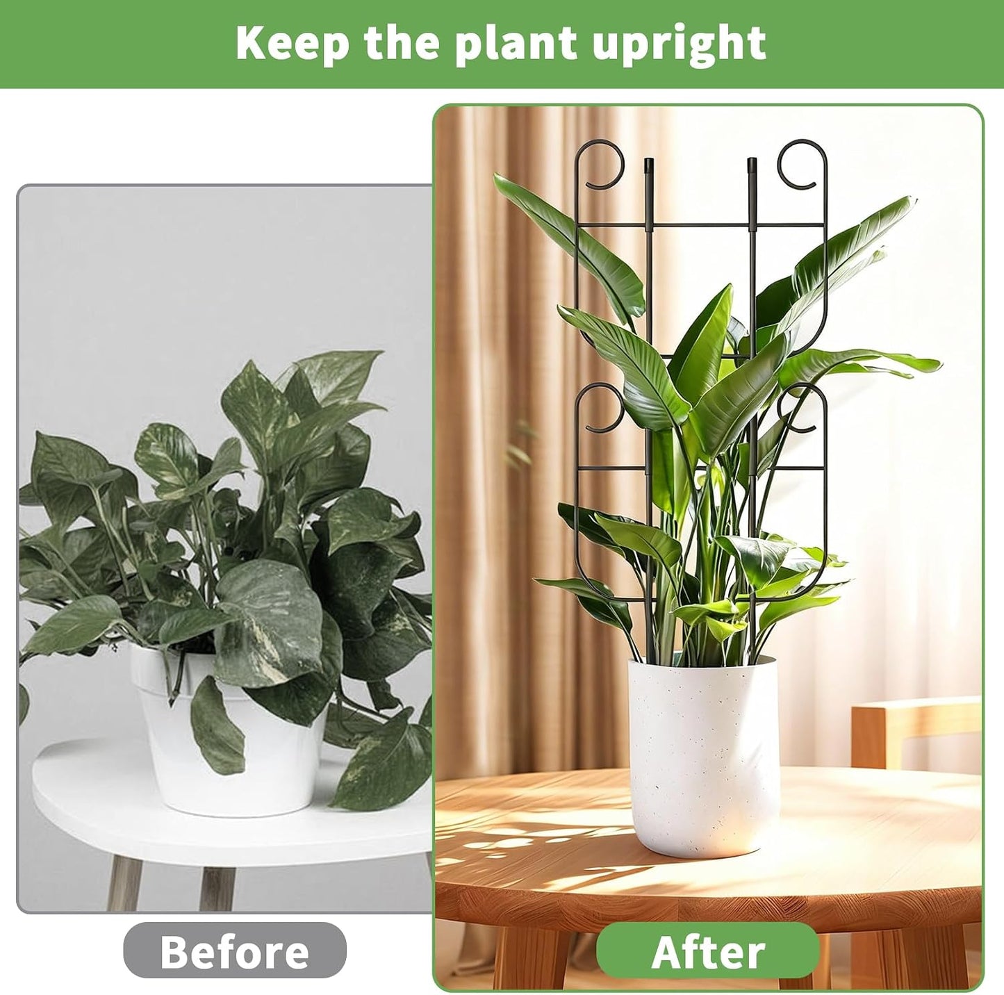 2 Pack Trellis for Climbing Plants Indoor, Expandable Heavy-Duty Metal Trellis for Potted Plants Outdoor, Flowers Vine Ivy, Sturdy Houseplant Pothos Plant Climber Support
