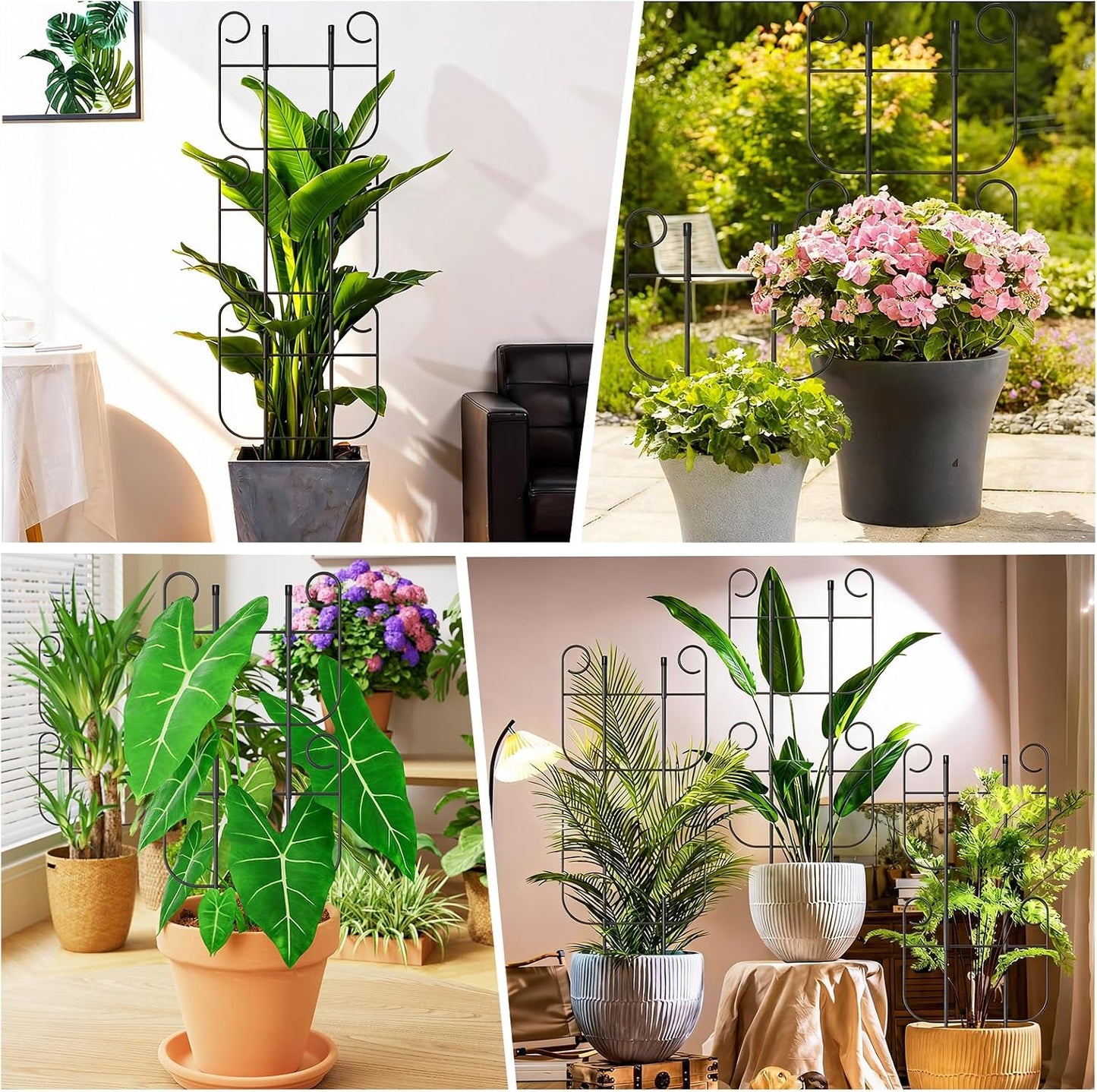 2 Pack Trellis for Climbing Plants Indoor, Expandable Heavy-Duty Metal Trellis for Potted Plants Outdoor, Flowers Vine Ivy, Sturdy Houseplant Pothos Plant Climber Support