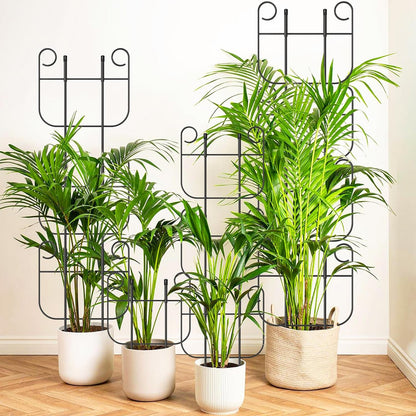 2 Pack Trellis for Climbing Plants Indoor, Expandable Heavy-Duty Metal Trellis for Potted Plants Outdoor, Flowers Vine Ivy, Sturdy Houseplant Pothos Plant Climber Support