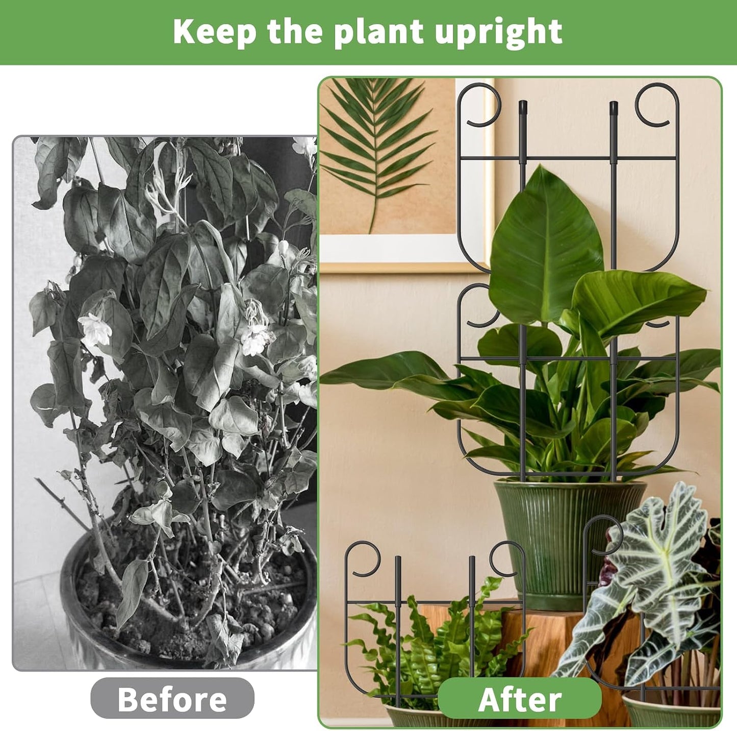 2 Pack Trellis for Climbing Plants Indoor, Expandable Heavy-Duty Metal Trellis for Potted Plants Outdoor, Flowers Vine Ivy, Sturdy Houseplant Pothos Plant Climber Support