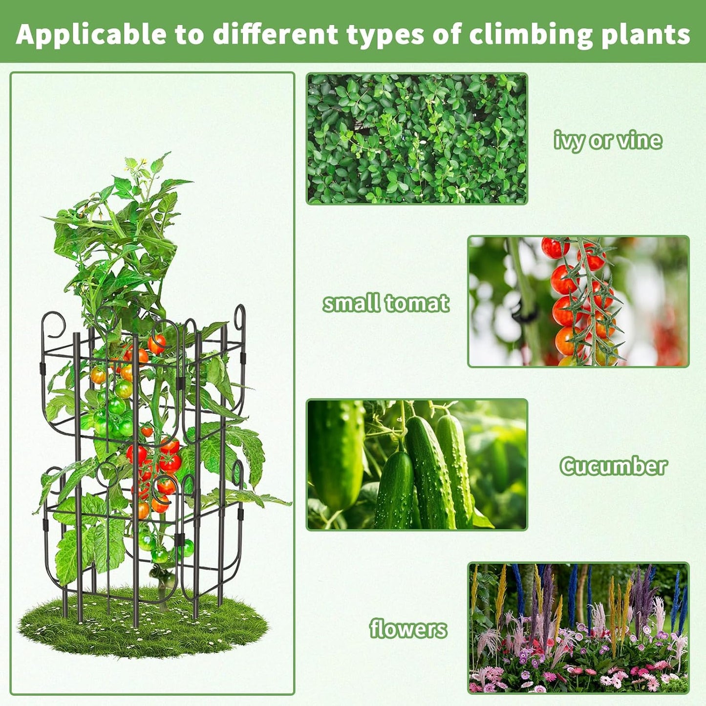 2 Pack Trellis for Climbing Plants Indoor, Expandable Heavy-Duty Metal Trellis for Potted Plants Outdoor, Flowers Vine Ivy, Sturdy Houseplant Pothos Plant Climber Support